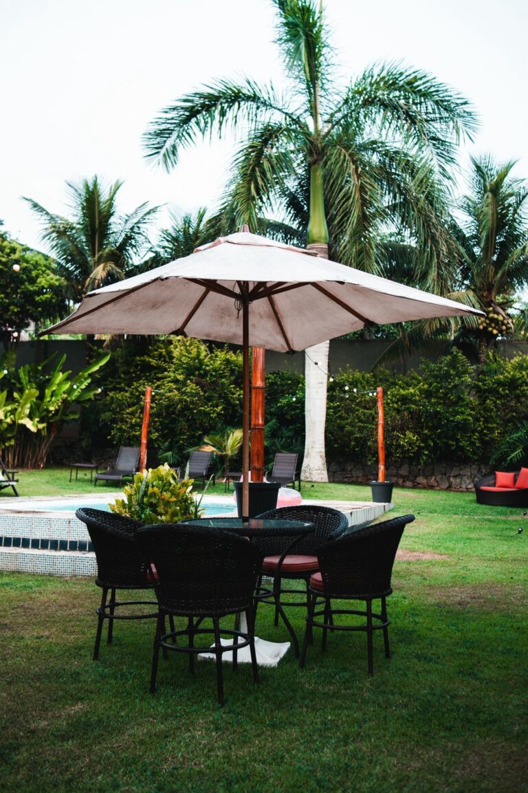 WhatsApp Image 2025-12-03 at 13.18.15