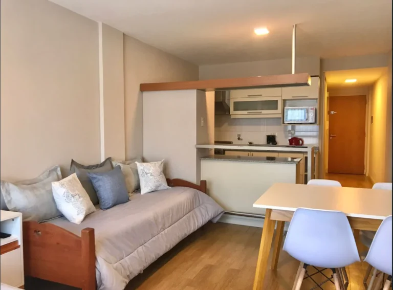 departamento centro 4